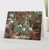 White Snow Drop Viering Verjaardag Kaart (Voorkant)