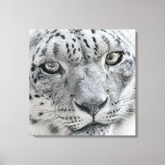 White Snow Leopard Natuur Foto Canvas Afdruk (Voorkant)