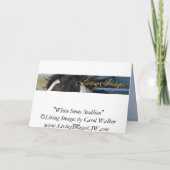 White Snow Stallion Horse Wenskaart Kaart (Achterkant)