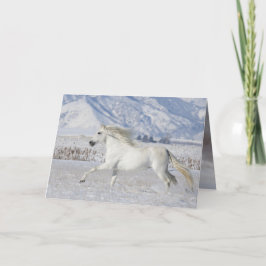 White Snow Stallion Horse Wenskaart Kaart