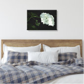 White Snowball Hydrangea - Annabelle Canvas Afdruk (Insitu (Slaapkamer))