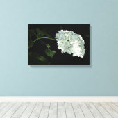 White Snowball Hydrangea - Annabelle Canvas Afdruk (Insitu (Houten vloer))