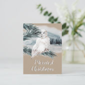 White Snowy Owl Blue Spruce Branch Woodland Scene Briefkaart (Staand voorkant)