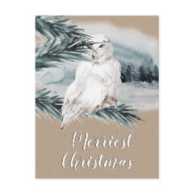 White Snowy Owl Blue Spruce Branch Woodland Scene