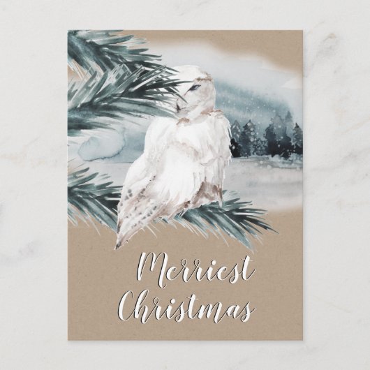 White Snowy Owl Blue Spruce Branch Woodland Scene Briefkaart (Voorkant)
