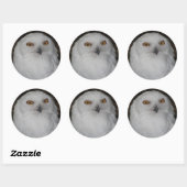 White Snowy Owl Photo Ronde Sticker (Vel)