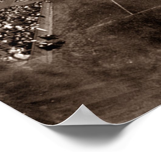 White Sox VS. Cubs 1909 -  Poster (Hoek)