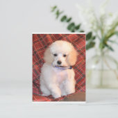White Speelgoed podle Fluffy Puppy Briefkaart (Staand voorkant)
