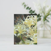 White Spider Lily Briefkaart (Staand voorkant)