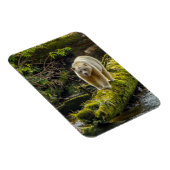 White Spirit Beer | British Columbia, Canada Magneet (Rechterzijde)