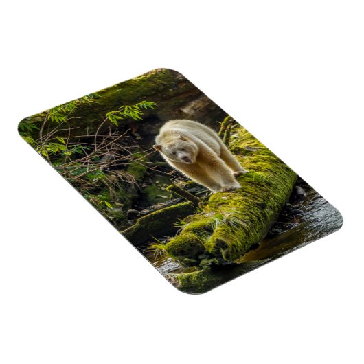 White Spirit Beer | British Columbia, Canada Magneet (Rechterzijde)