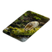 White Spirit Beer | British Columbia, Canada Magneet (Linkerzijde)