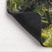 White Spirit Beer | British Columbia, Canada Muismat (Hoek)