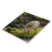 White Spirit Beer | British Columbia, Canada Tegeltje (Zijkant)