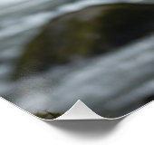 White Spirit Beer Cub Wildlife Art Perfect Poster (Hoek)