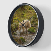 White Spirit Beer Hunts for fish on Riordan Creek (Hoek)