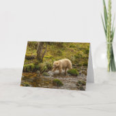 White Spirit Beer Hunts for fish on Riordan Creek Kaart (Voorkant)