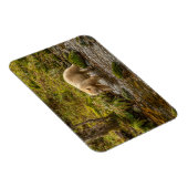 White Spirit Beer Hunts for fish on Riordan Creek Magneet (Rechterzijde)