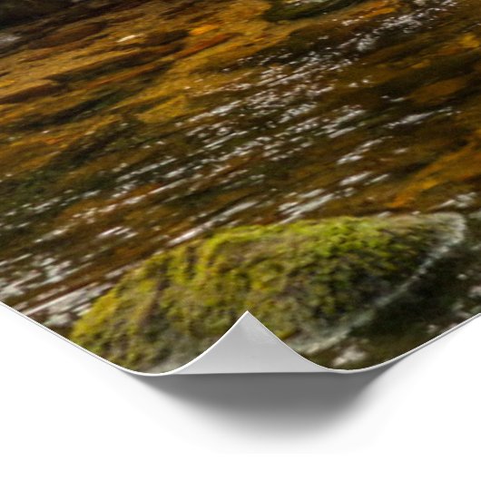 White Spirit Beer Hunts for fish on Riordan Creek Poster (Hoek)