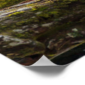 White Spirit Beer Hunts Poster (Hoek)