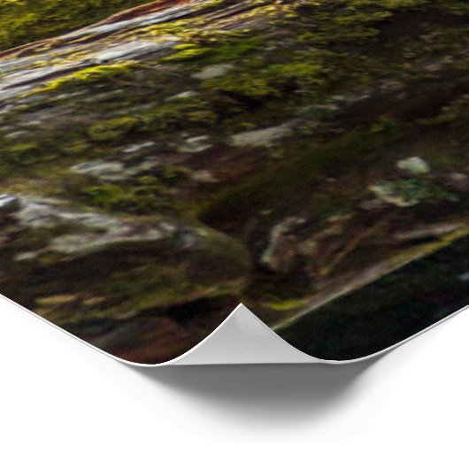 White Spirit Beer Hunts Poster (Hoek)