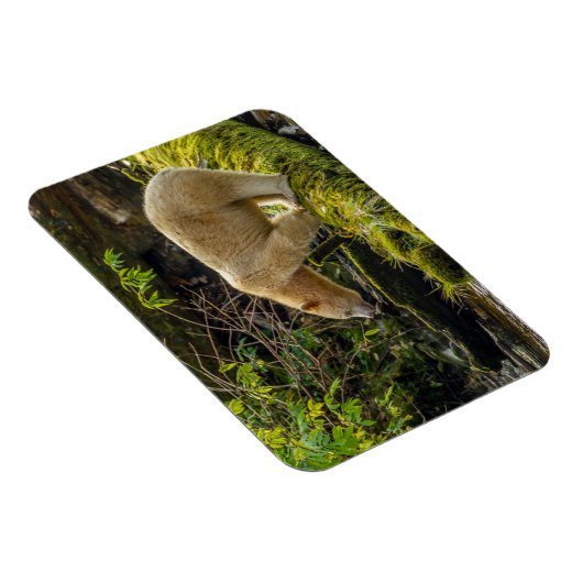 White Spirit Beer Magneet (Rechterzijde)