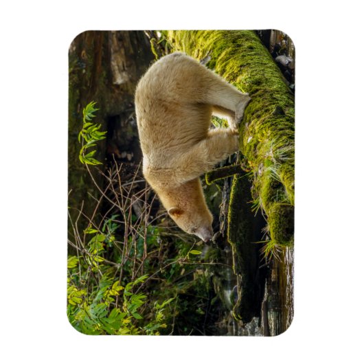 White Spirit Beer Magneet (Verticaal)