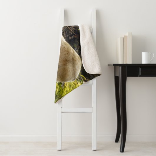 White Spirit Beer Sherpa Deken (In situ)