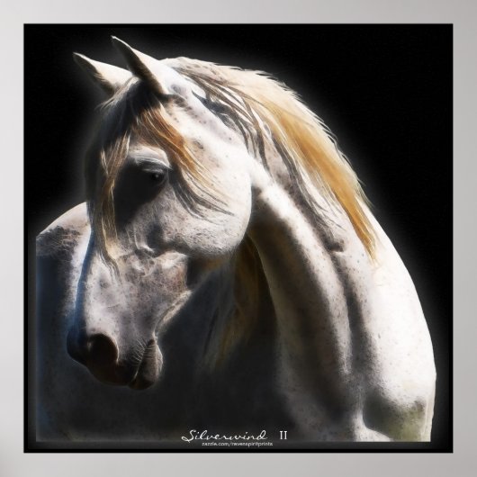 White Spirit Stallion Equine Art Poster (Voorkant)