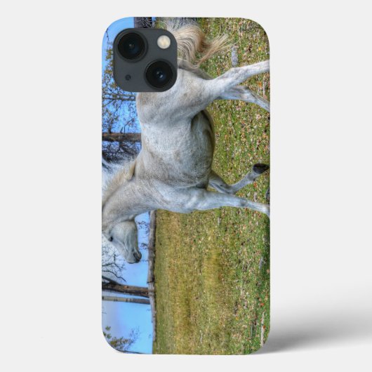 White Spirited Horse Equine Photo on a BC Ranch Case-Mate iPhone Case (Achterkant)
