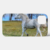 White Spirited Horse Equine Photo on a BC Ranch Case-Mate iPhone Case (Achterkant (horizontaal))