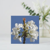 White Spring Bloom (Staand voorkant)