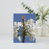 White Spring Bloom Briefkaart (Staand voorkant)
