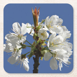 White Spring Bloom Kartonnen Onderzetters
