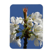 White Spring Bloom Magneet (Verticaal)