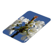 White Spring Bloom Magneet (Linkerzijde)