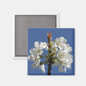 White Spring Bloom Magneet (Voorkant / Achterkant)