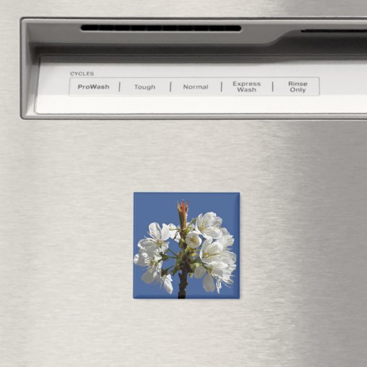 White Spring Bloom Magneet (Insitu (Vaatwasser))