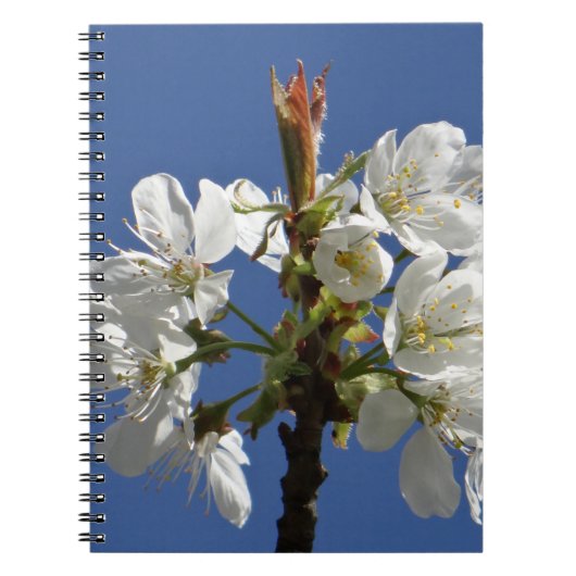 White Spring Bloom Notitieboek (Voorkant)