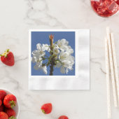 White Spring Bloom Servet (Insitu)
