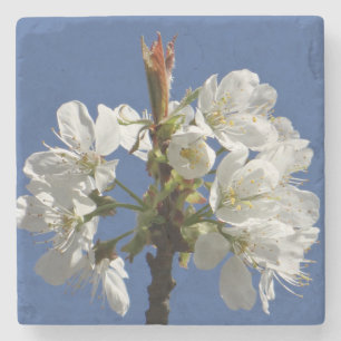 White Spring Bloom Stenen Onderzetter