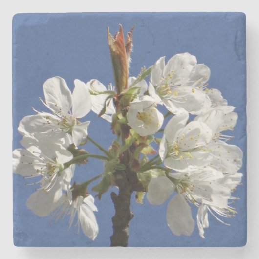 White Spring Bloom Stenen Onderzetter (Voorkant)