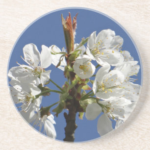 White Spring Bloom Zandsteen Onderzetter