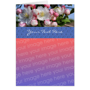 White Spring Blossom Floral Photo Card
