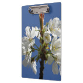 White Spring Blossom Klembord (Links)