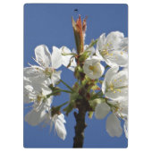 White Spring Blossom Klembord (Achterkant)