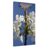 White Spring Blossom Klembord (Rechts)