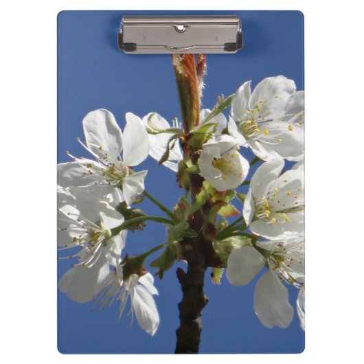 White Spring Blossom Klembord (Voorkant)