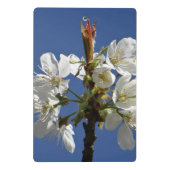 White Spring Blossom Mini Klembord (Achterkant)