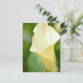 White Spring Calla Lily Briefkaart (Staand voorkant)